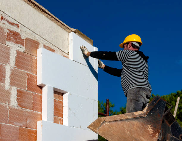 Best Affordable Insulation Services  in Dania Beach, FL