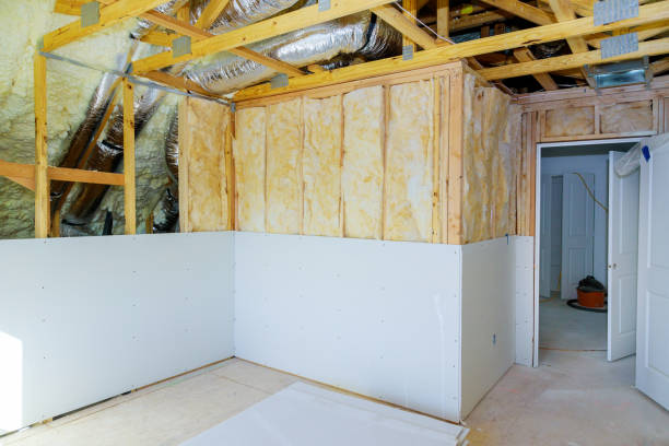 Best Attic Insulation Installation  in Dania Beach, FL