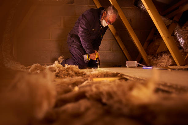 Best Insulation Contractors for Homes  in Dania Beach, FL